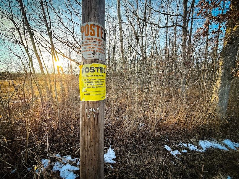 Seneca_24.54_Hohwald_Photos_9