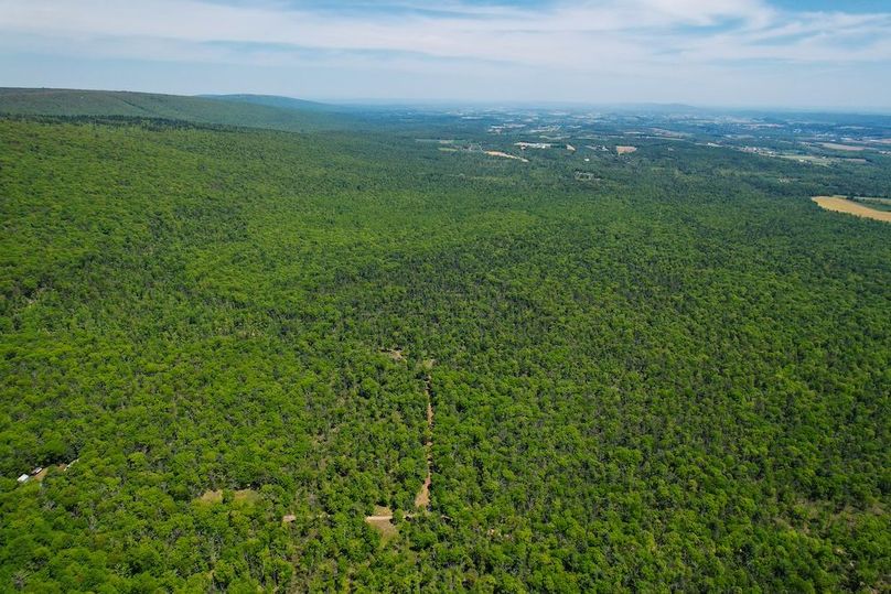 dji_fly_20250512_125954_970_1747069870615_photo