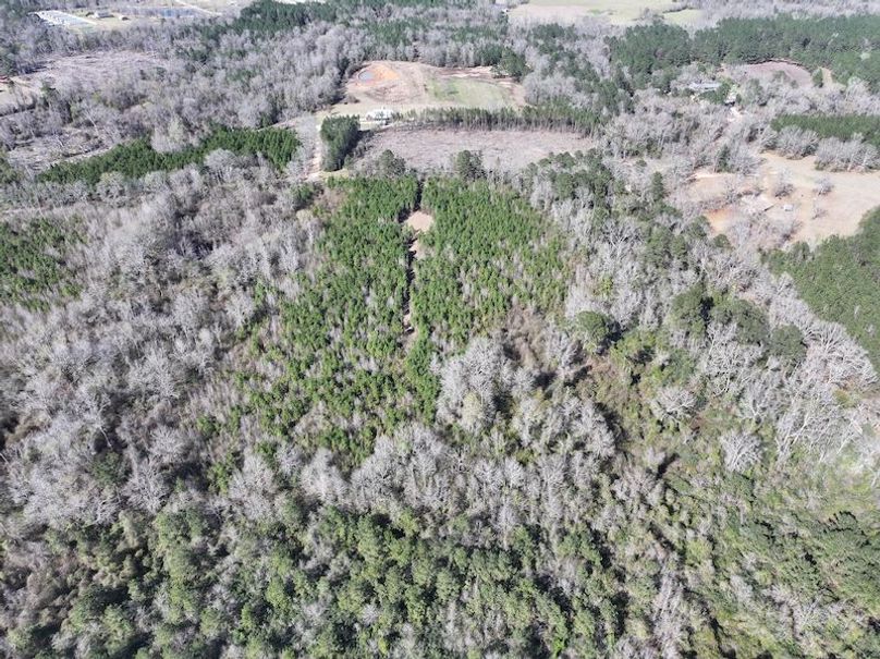 dji_fly_20260302_130446_0341_1772559700299_photo