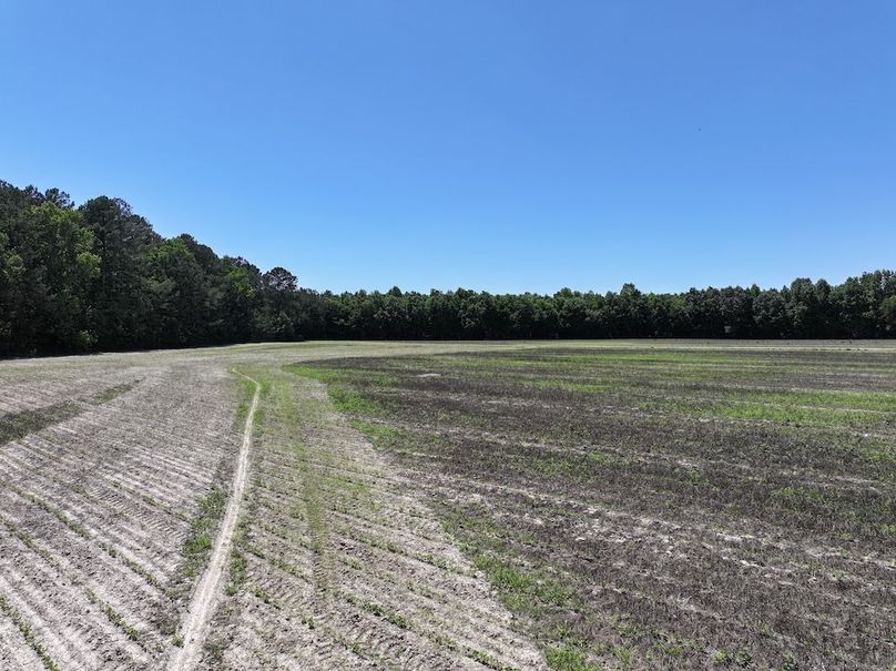 Copy of DJI_20260602142143_0045_D