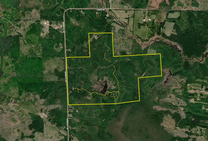 8124 Virginia Ely Rd. trails