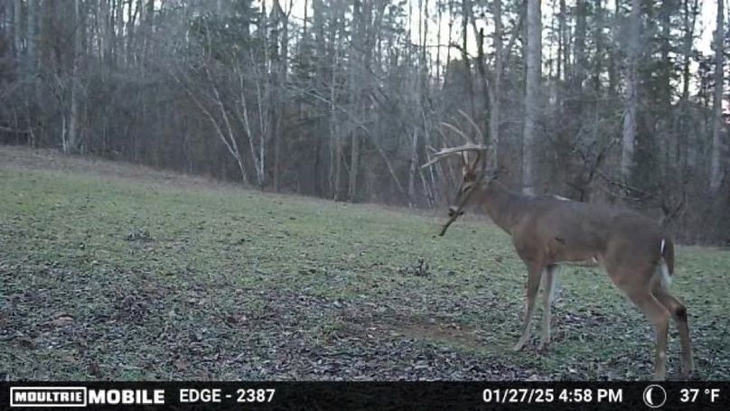 trail cam1