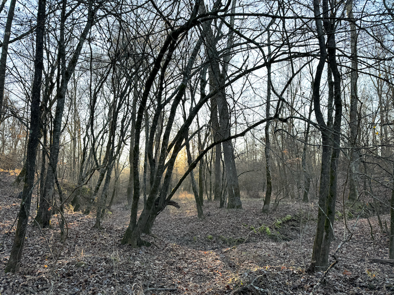 Screenshot 2025-10-03 at 11.17.40 AM