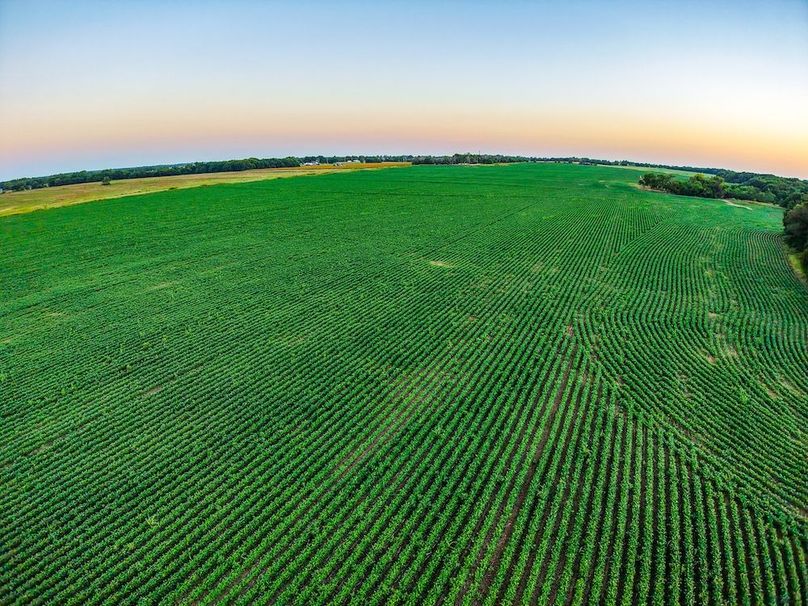 DJI_20250816064914_0694_D