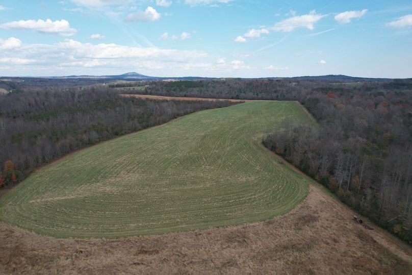 dji_fly_20251120_022512_934_1763686427185_photo