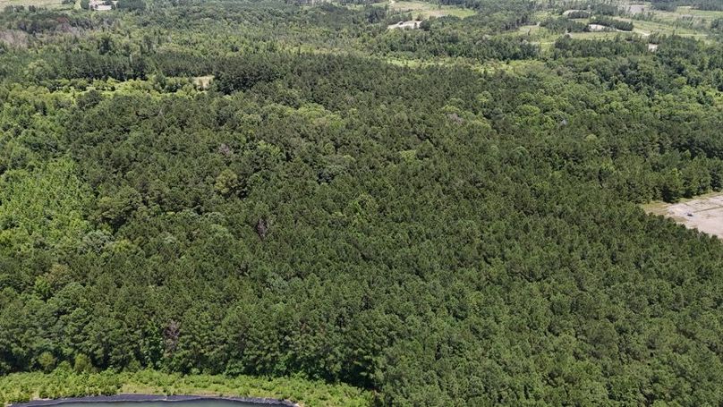 DJI_20250620020306_0630_D