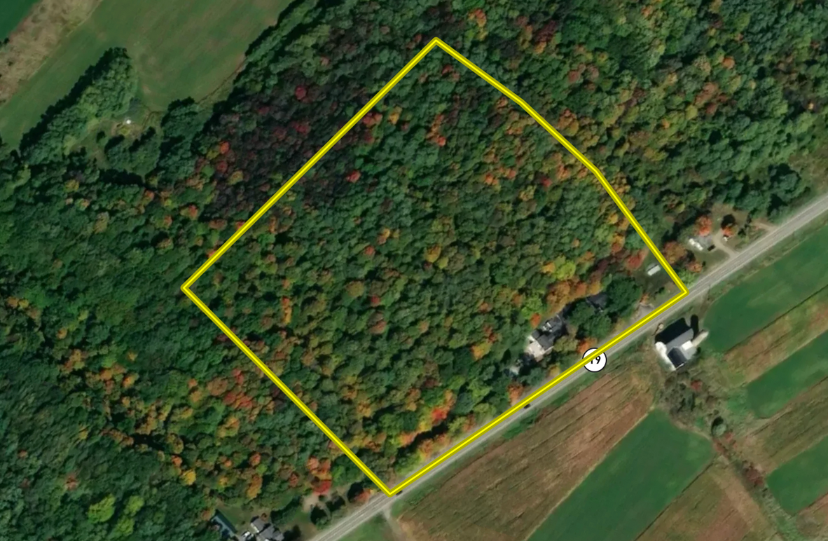 4 Screenshot 2023-05-24 at 9.59.53 AM