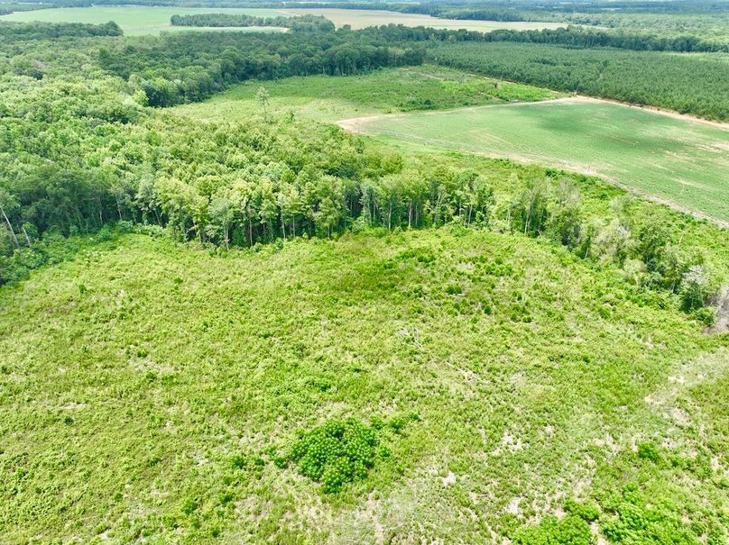 dji_fly_20240703_143148_524_1720031666025_photo