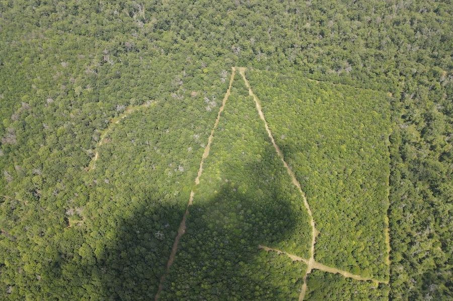dji_fly_20240623_143358_202_1719171515722_photo