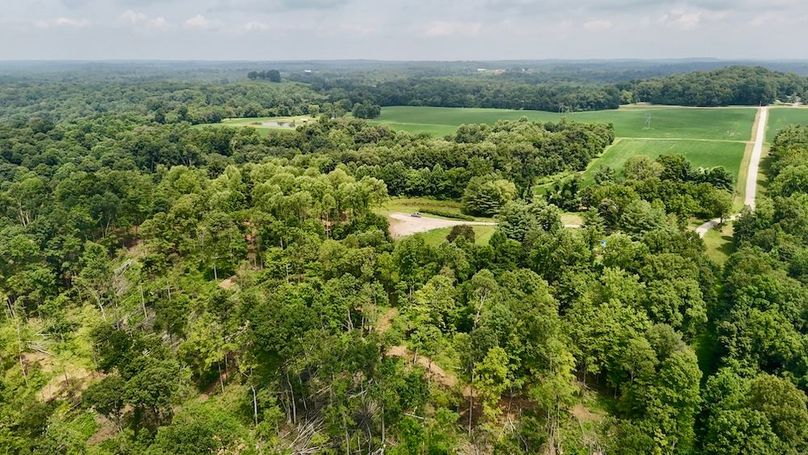 dji_fly_20250717_123210_0489_1752769742640_photo