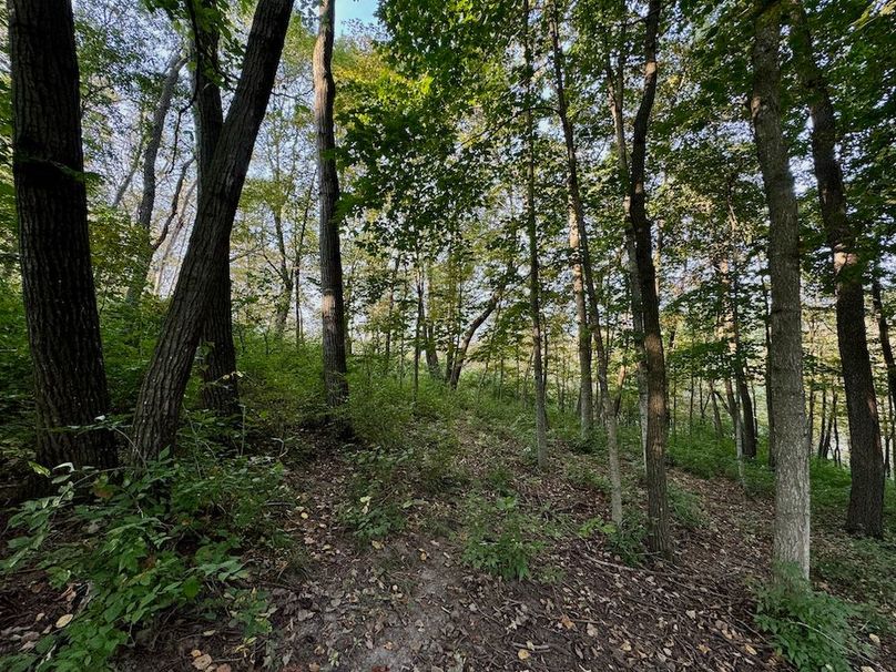 Richland 199Ground - 56