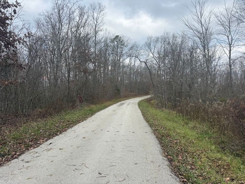 002 Halls Hill Road leading along the west side of the property