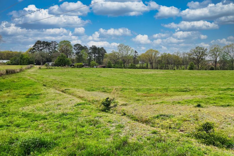 16 Pasture Trees and Barn