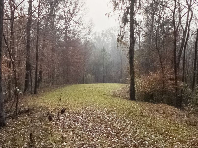 Claiborne Co - 274 - Marian-012