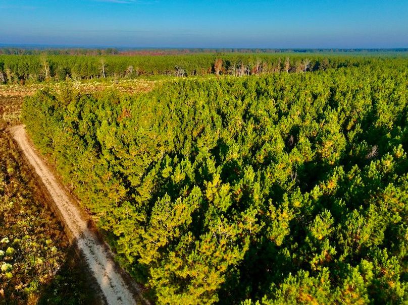 759A4B2E-5468-4FC0-BBA0-53EF5E242058_1_201_a