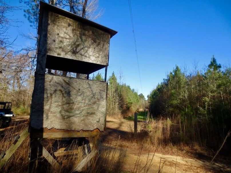 70EAA877-5C90-414B-8805-11C366D64B51_1_105_c