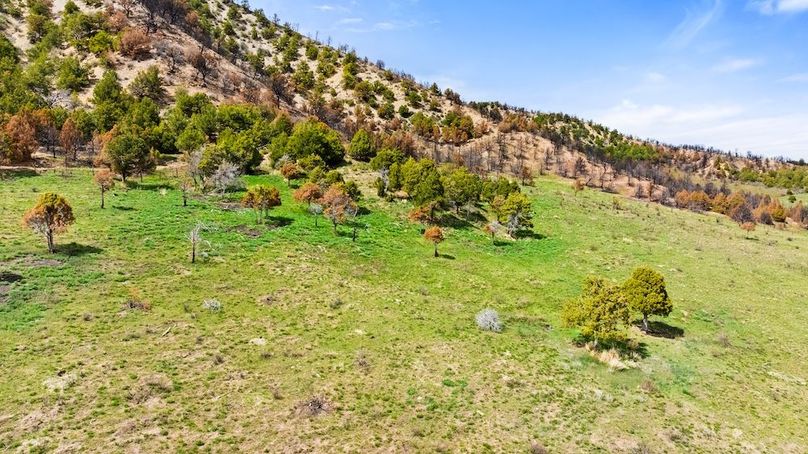 DJI_20260413152314_0118_D_1