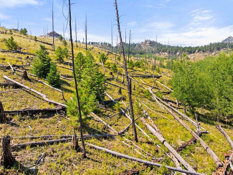 DJI_20250813111819_0070_D_1