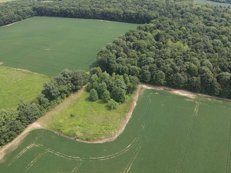 DJI_20250817120750_0008_W