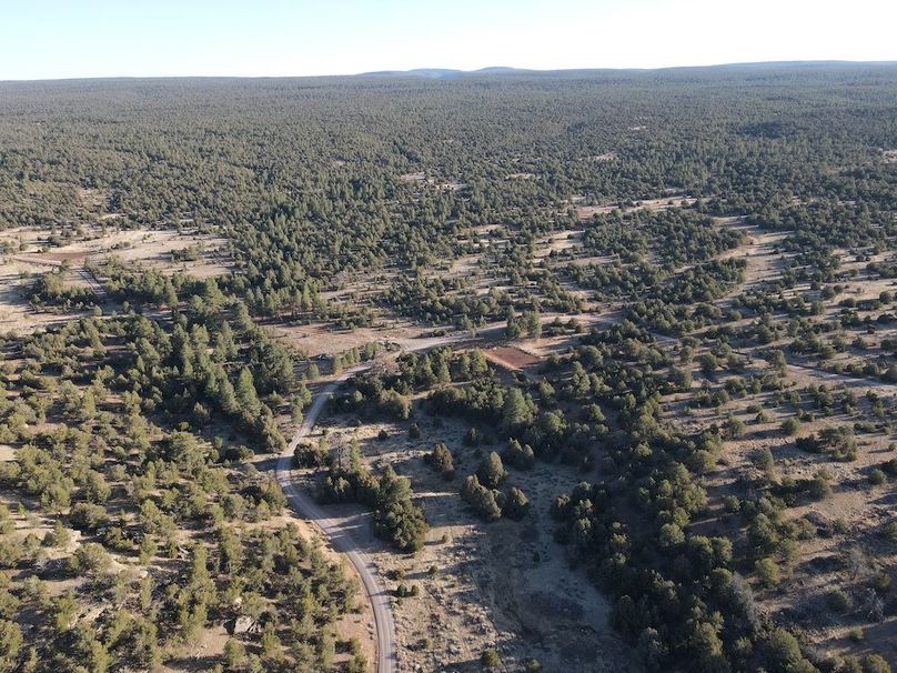 57_Pratt Landscapes 9