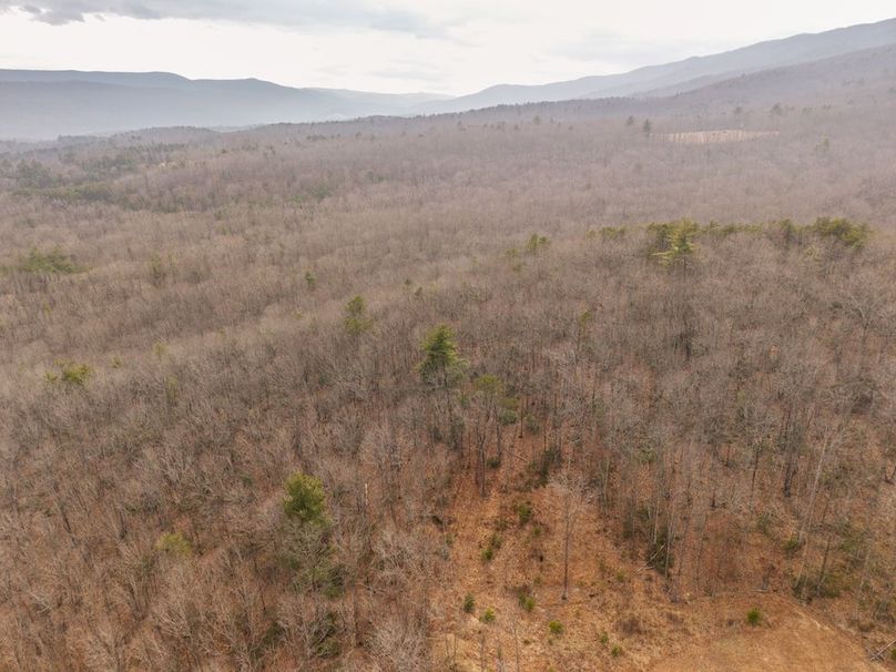 DJI_20260304155121_0003_D