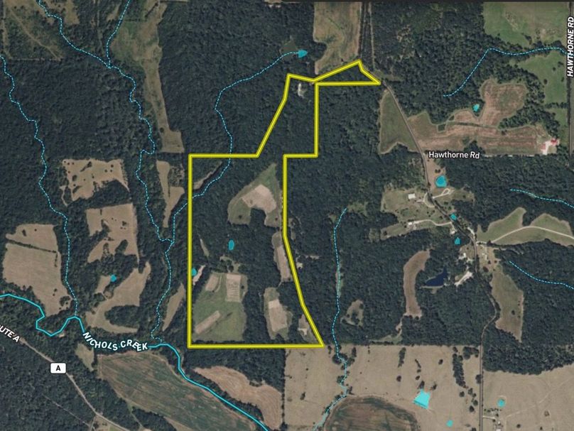 Screen Shot 2026-03-10 at 9.13.49 AM