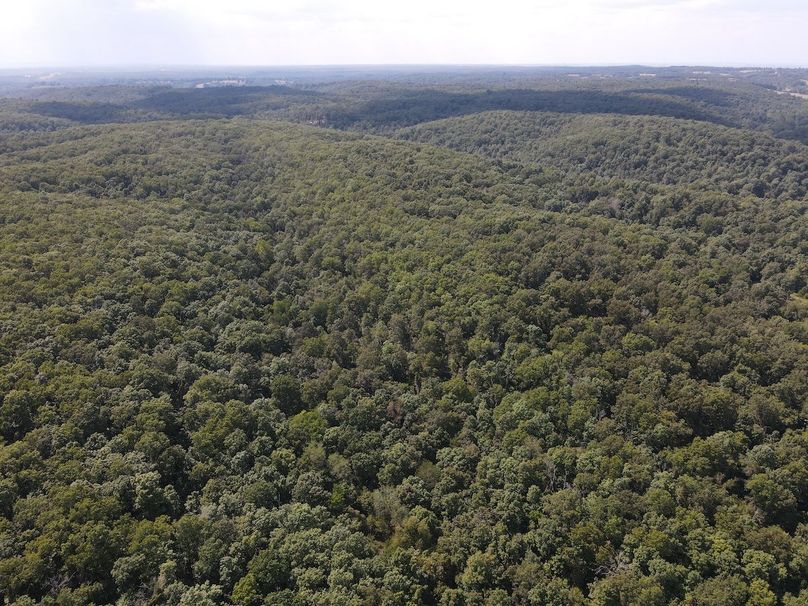 dji_fly_20250818_150748_664_1755547709526_photo