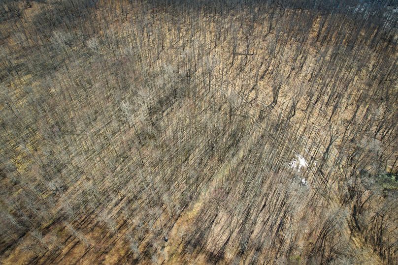 Oswego_165.52_Lashomb_Photos_14