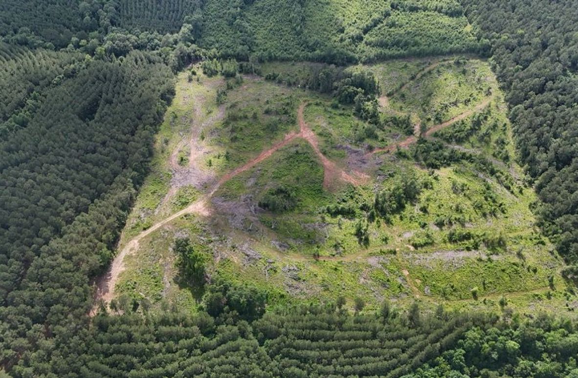 DJI_20250528052954_0503_D