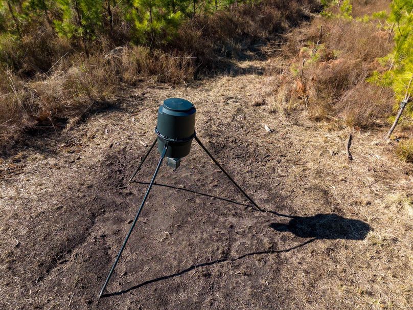 Pender NC 382 - Edits-13