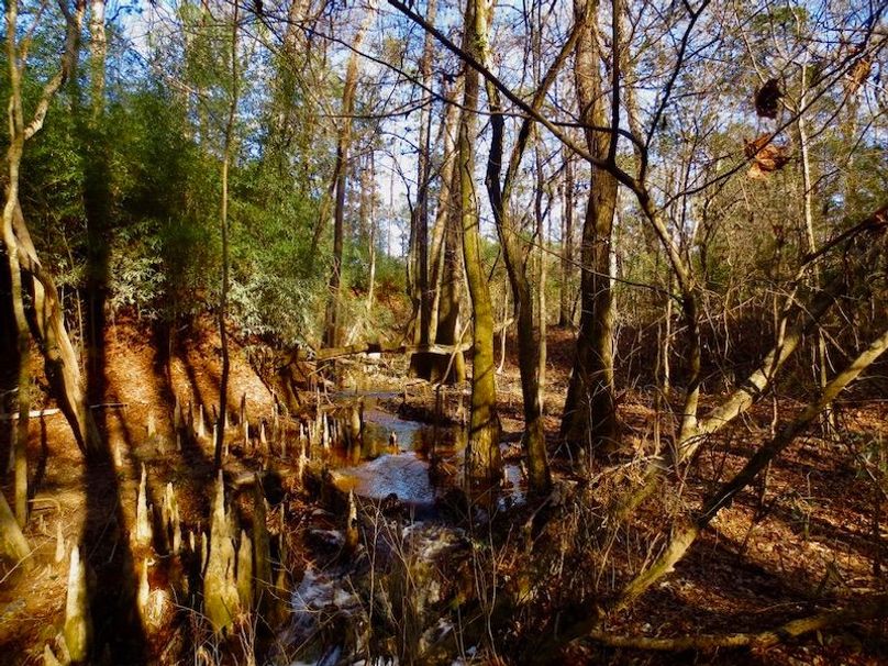 AB96A395-6BD2-4D6A-BD6E-343BCD8ABC1B_1_105_c