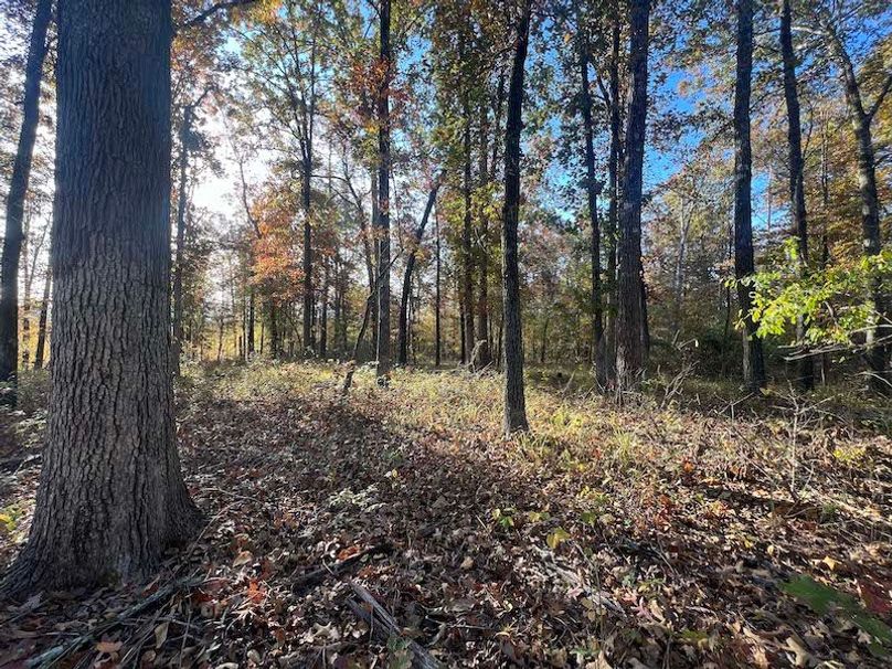 Jeff 11720251111_0226