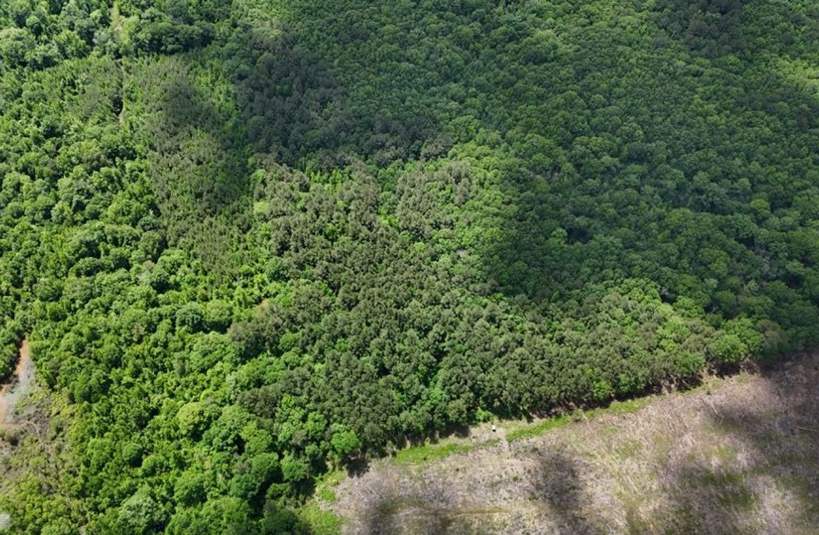 DJI_20250504012739_0474_D