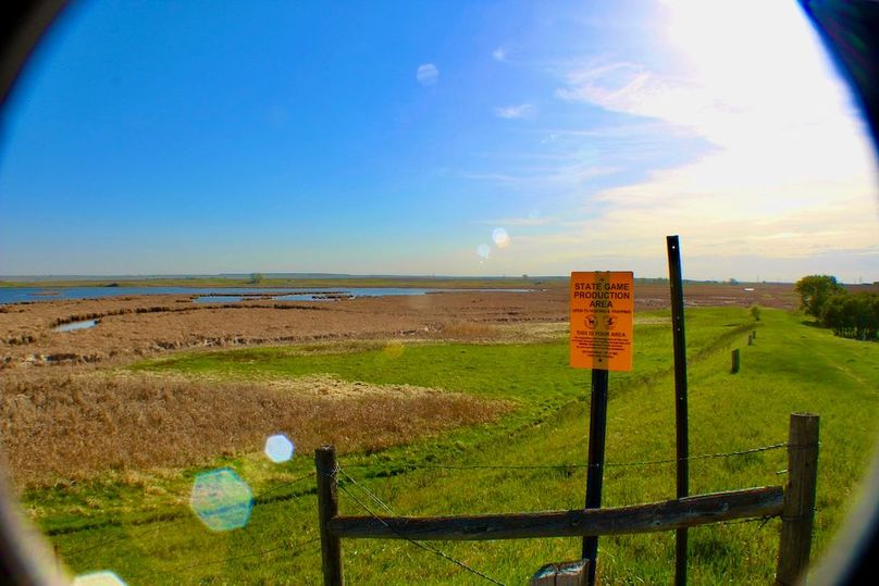 Game_Production_Area(3)