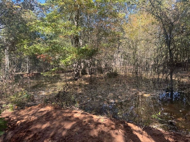 1a1 jeff 8320251111_0261