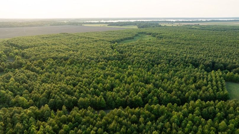 MadisonParLa1372-064