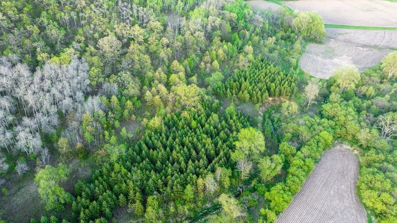 DJI_0340