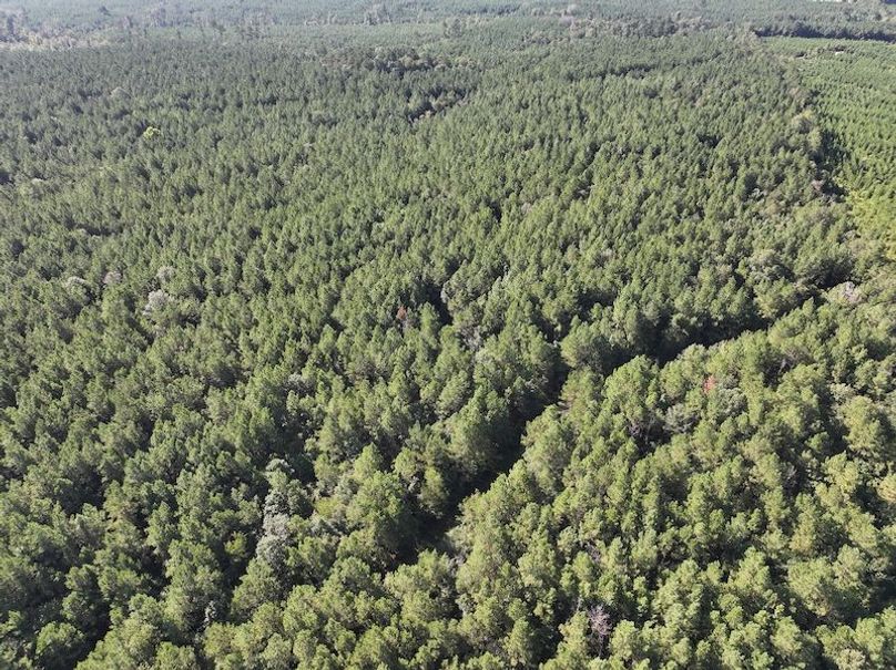 dji_fly_20250908_094308_0426_1757354099800_photo