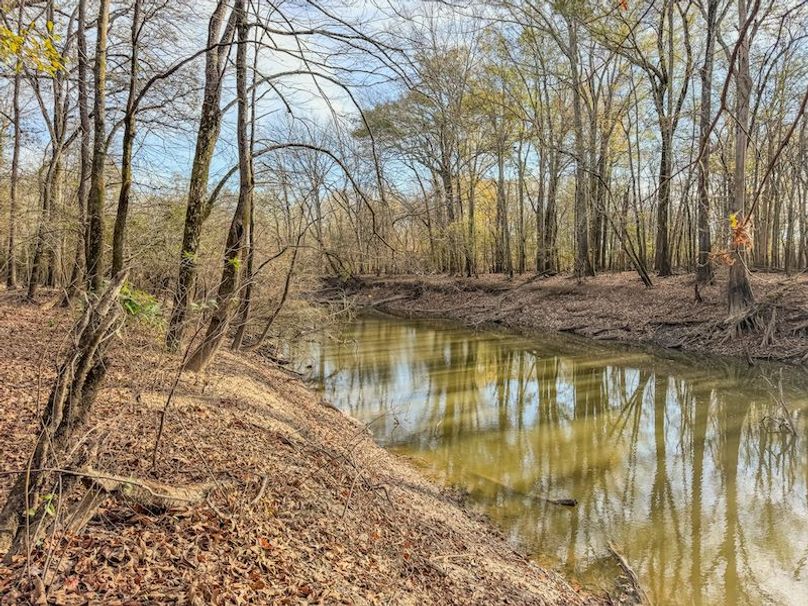 St. Francis 216.9 Calvin Parker Farms Profile -49