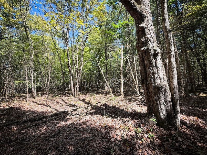 Jefferson NY 195.6 Parker Photos 36