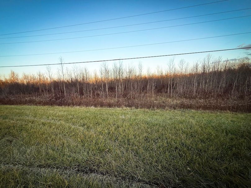 Wayne_29.09_BD_LandNorth_Parcel_8