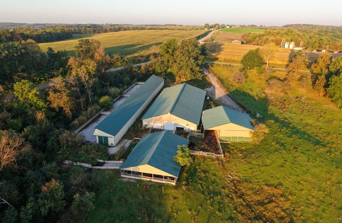 Monroe 5.31-05 Large