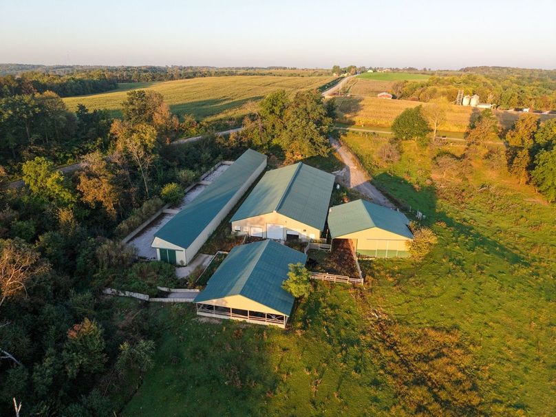 Monroe 5.31-05 Large