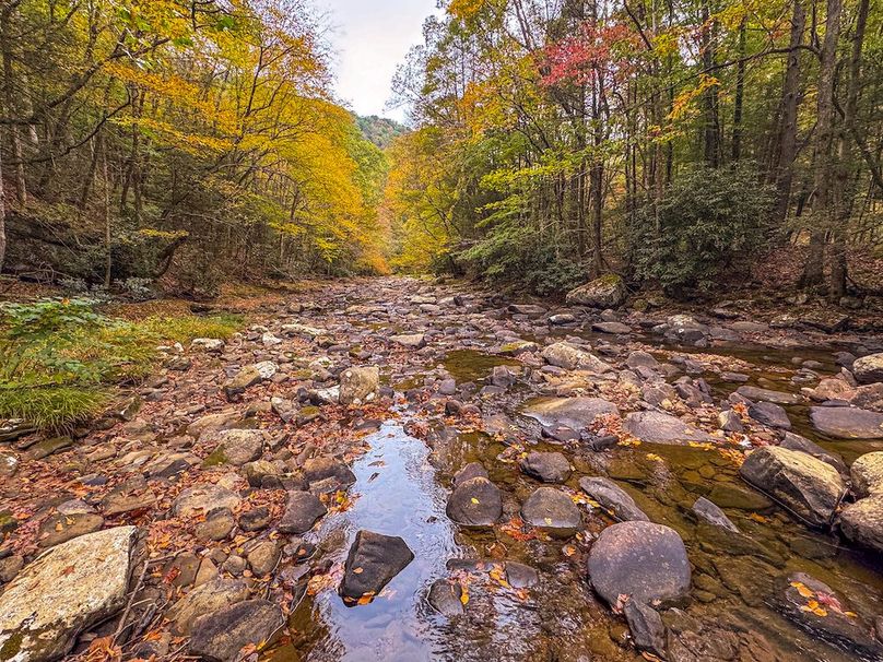 Webster, WV 13.8 AC Heldreth-15