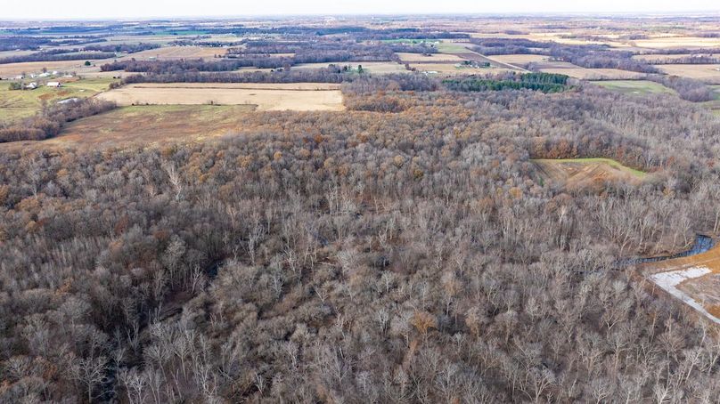 DJI_20241210094536_0003_D