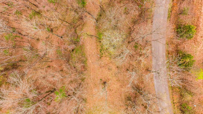 22-web-or-mls-Wolf Hill-42