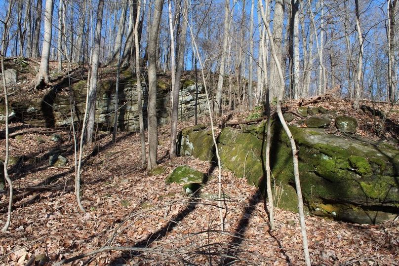 006 some very old moss covered limestone boulders laying about in the north part of the property
