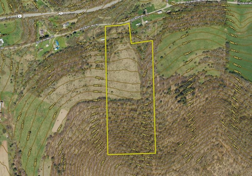 Screen Shot 2024-02-15 at 11.24.04 AM