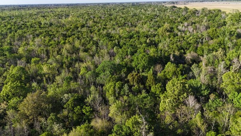 dji_fly_20260326_174336_0128_1774621497176_photo