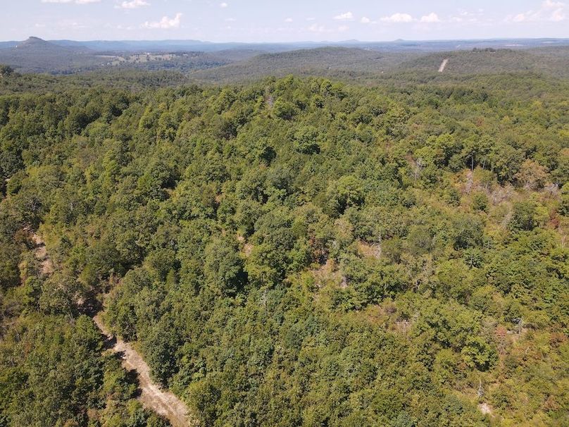 dji_fly_20250902_122156_760_1756833733127_photo